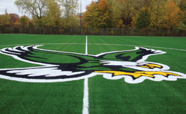 A-Turf Synthetic turf