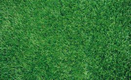 A-Turf Mono close-up view.