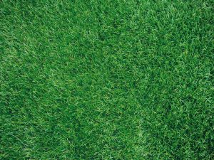 A-Turf Mono close-up view.