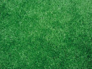 A-Turf Premier XP close-up view.