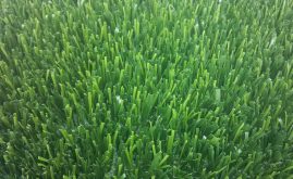 A-Turf Titan close-up view.