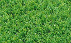 A-Turf Titan synthetic turf close-up