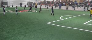 Other Turf Systems