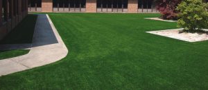 A-Turf used for outside courtyard at East Rochester Jr/Sr Hich School