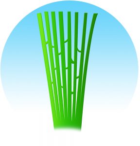 A-Turf Premier XP fiber (shown after fibrillation) rendering.