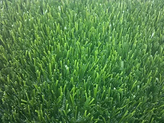 User inteface cursor effect image