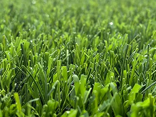 User inteface cursor effect image